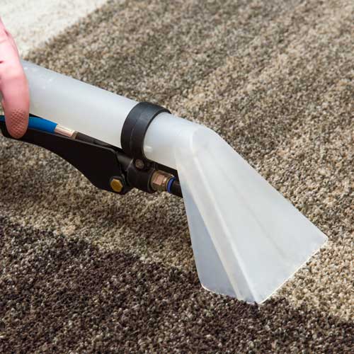Carpet care | Ultimate Flooring Design Center