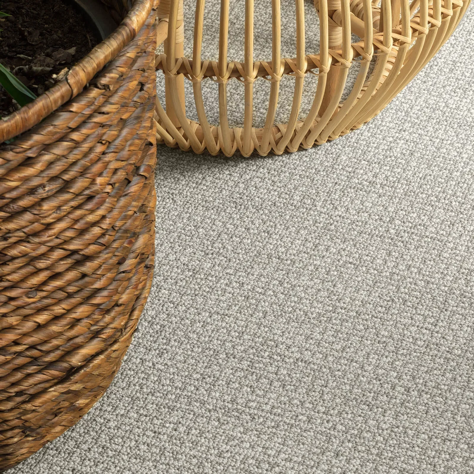 ZZ074-Fetch-712-Briarwood-D-6701-ret_1600x1600 Carpet flooring | Ultimate Flooring Design Center